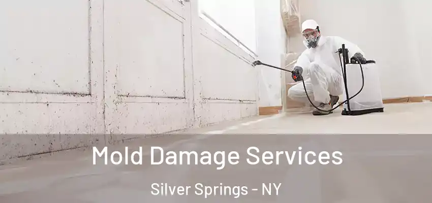  Mold Damage Services Silver Springs - NY