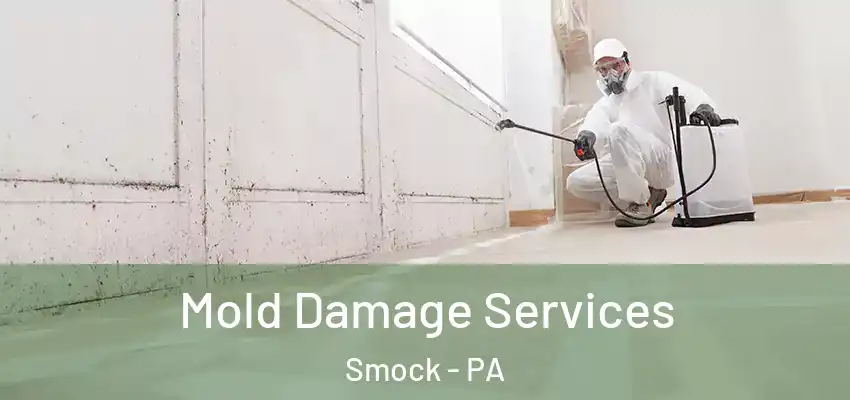  Mold Damage Services Smock - PA