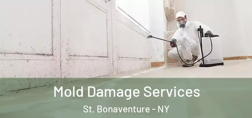  Mold Damage Services St. Bonaventure - NY