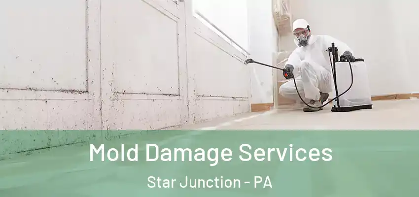  Mold Damage Services Star Junction - PA