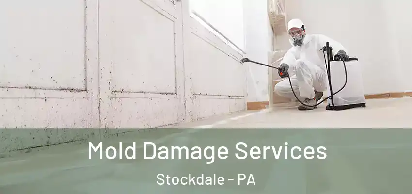  Mold Damage Services Stockdale - PA