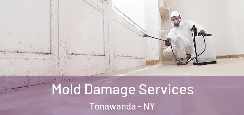  Mold Damage Services Tonawanda - NY