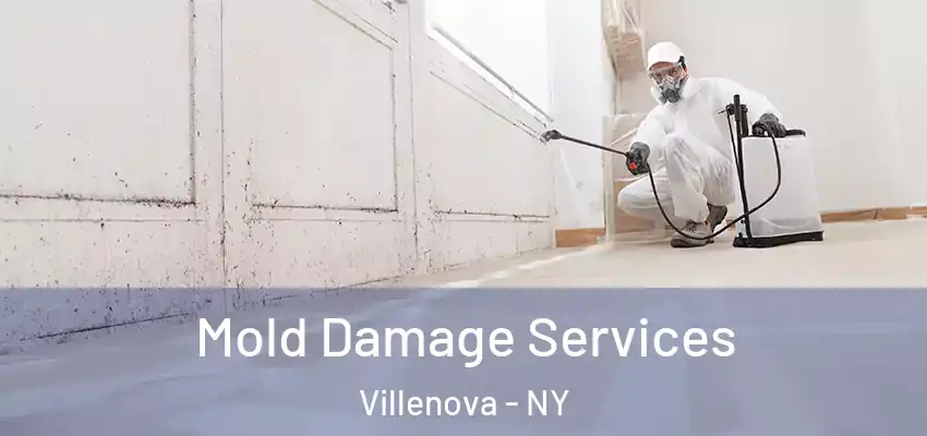  Mold Damage Services Villenova - NY