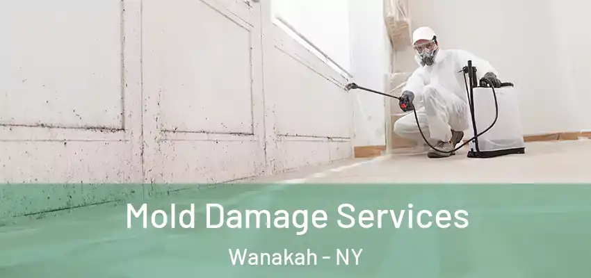  Mold Damage Services Wanakah - NY