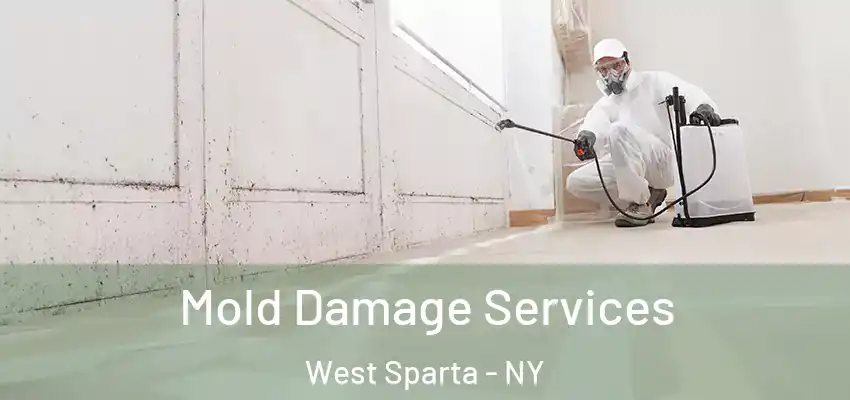  Mold Damage Services West Sparta - NY