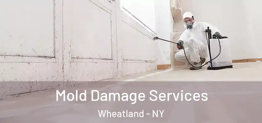  Mold Damage Services Wheatland - NY