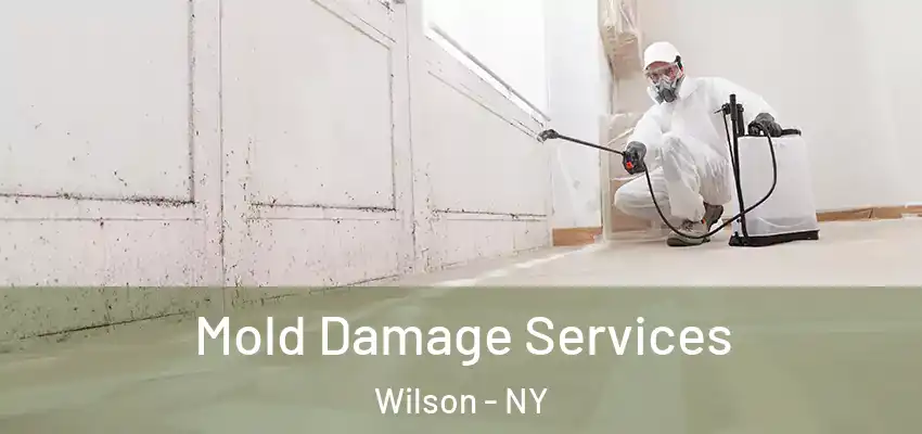  Mold Damage Services Wilson - NY