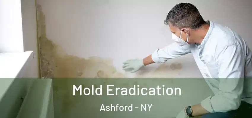  Mold Eradication Ashford - NY