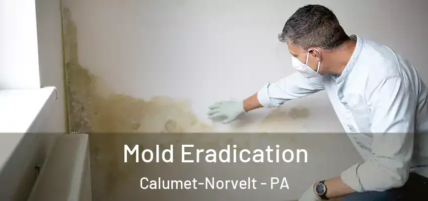  Mold Eradication Calumet-Norvelt - PA