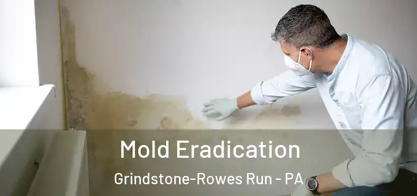  Mold Eradication Grindstone-Rowes Run - PA