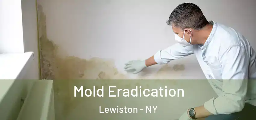  Mold Eradication Lewiston - NY