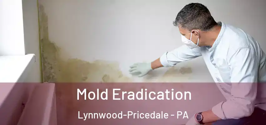  Mold Eradication Lynnwood-Pricedale - PA