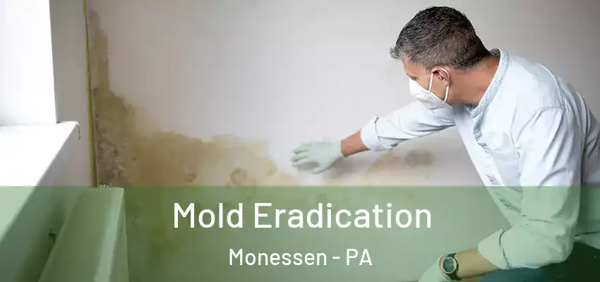  Mold Eradication Monessen - PA