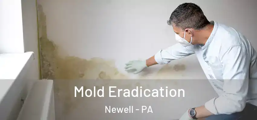  Mold Eradication Newell - PA