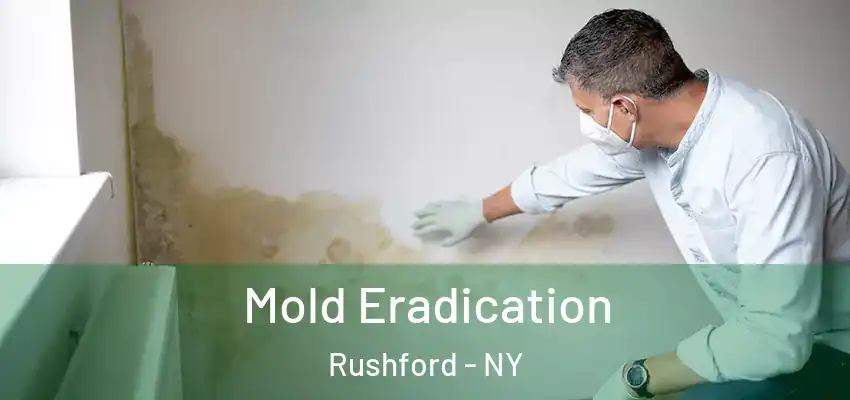  Mold Eradication Rushford - NY