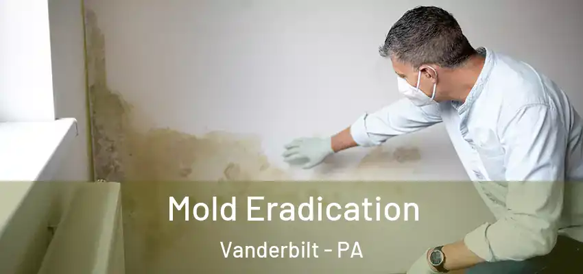  Mold Eradication Vanderbilt - PA