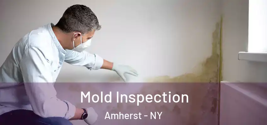  Mold Inspection Amherst - NY