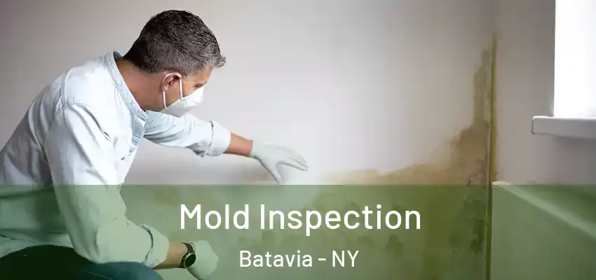  Mold Inspection Batavia - NY