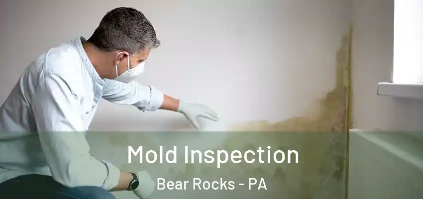  Mold Inspection Bear Rocks - PA
