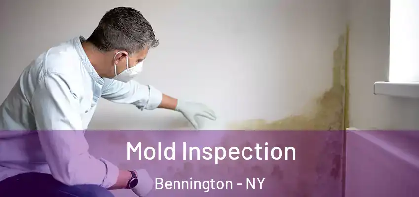  Mold Inspection Bennington - NY