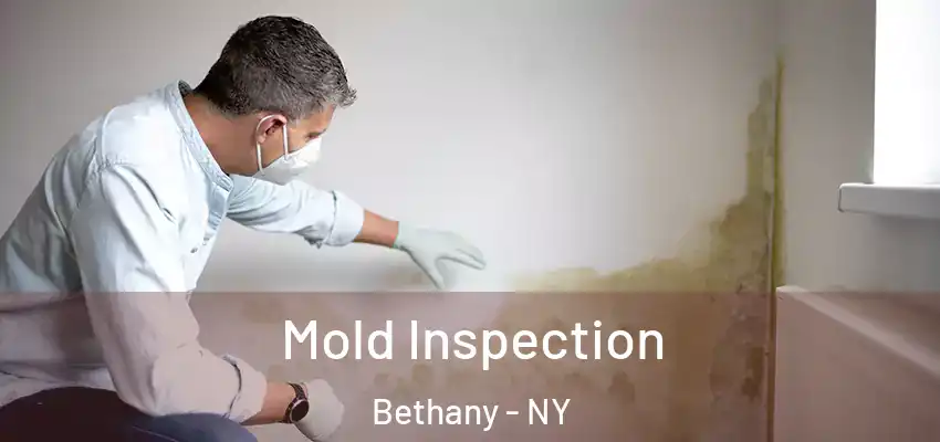  Mold Inspection Bethany - NY