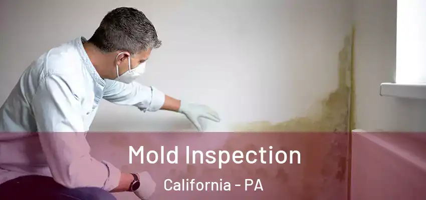  Mold Inspection California - PA