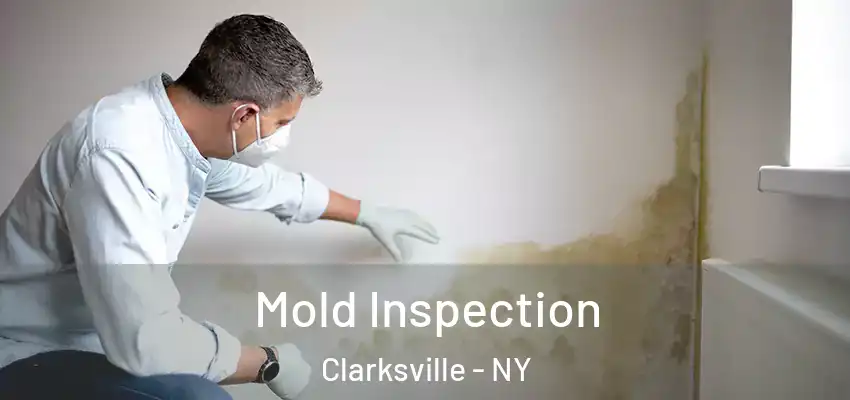  Mold Inspection Clarksville - NY