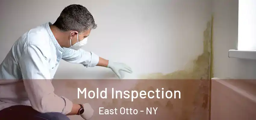  Mold Inspection East Otto - NY