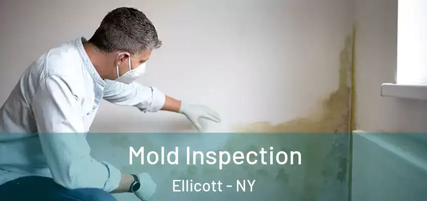  Mold Inspection Ellicott - NY