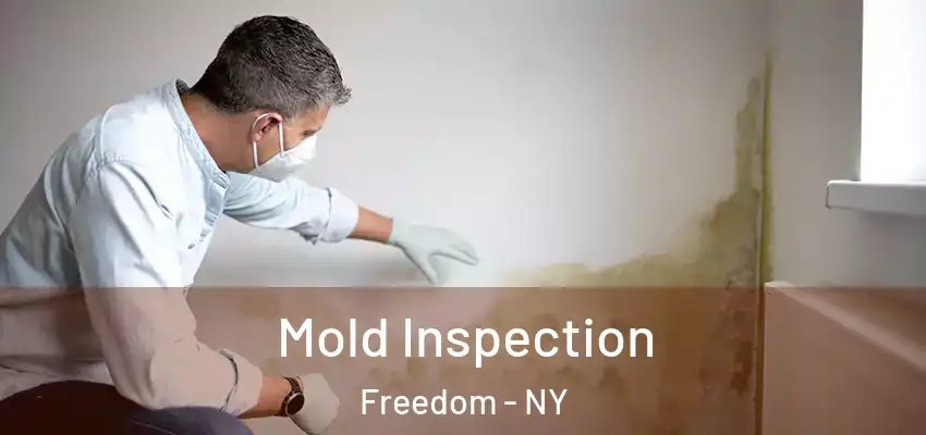  Mold Inspection Freedom - NY