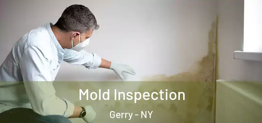  Mold Inspection Gerry - NY
