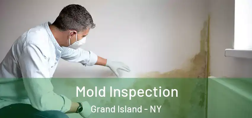  Mold Inspection Grand Island - NY