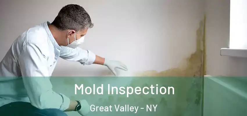  Mold Inspection Great Valley - NY