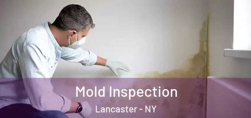  Mold Inspection Lancaster - NY