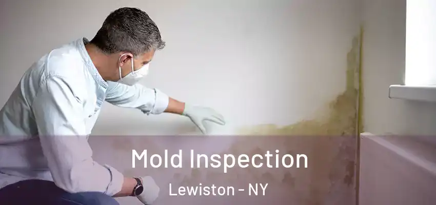  Mold Inspection Lewiston - NY