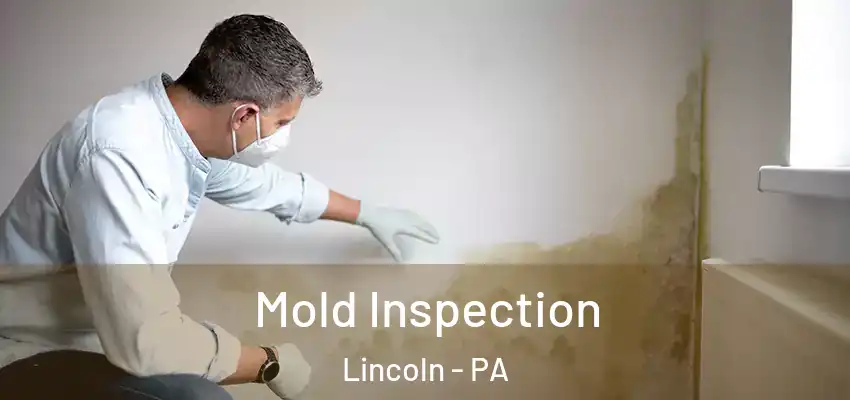  Mold Inspection Lincoln - PA
