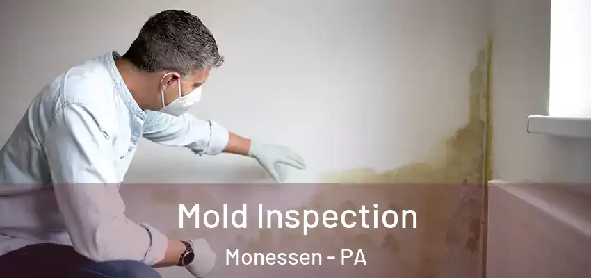  Mold Inspection Monessen - PA