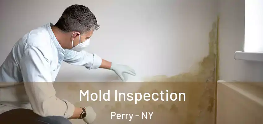  Mold Inspection Perry - NY