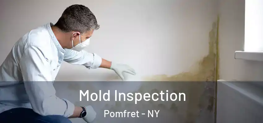  Mold Inspection Pomfret - NY