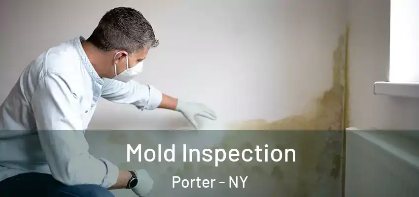  Mold Inspection Porter - NY
