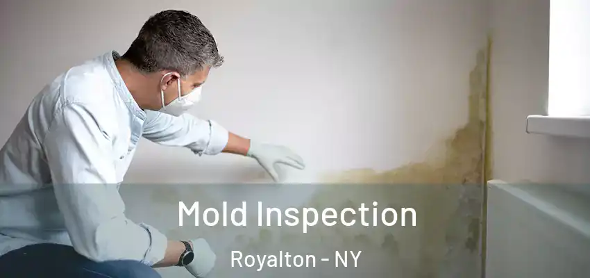  Mold Inspection Royalton - NY