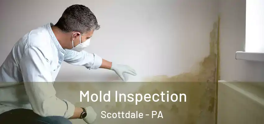  Mold Inspection Scottdale - PA