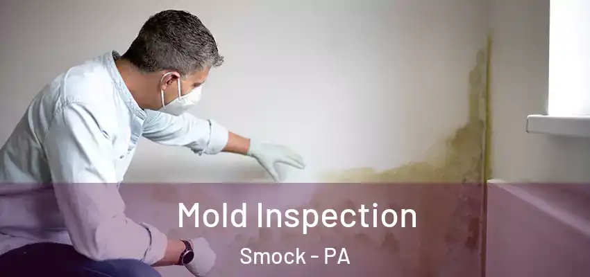  Mold Inspection Smock - PA
