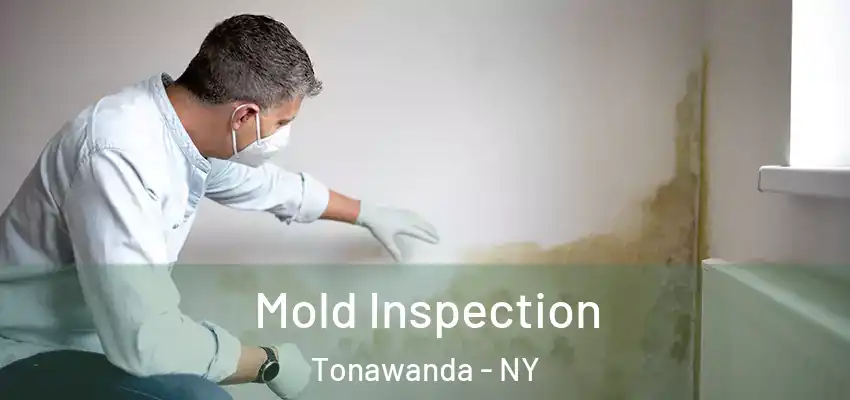  Mold Inspection Tonawanda - NY