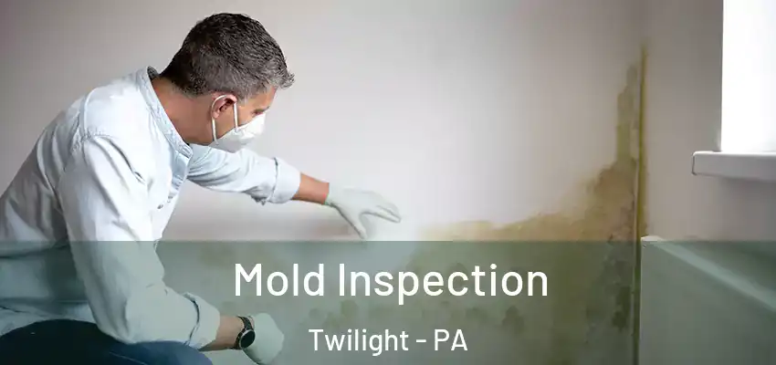  Mold Inspection Twilight - PA