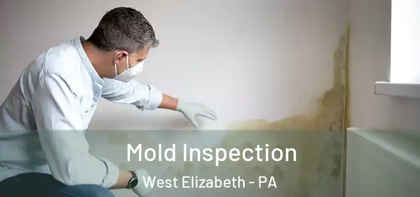  Mold Inspection West Elizabeth - PA