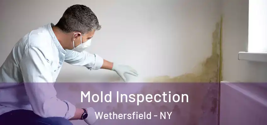  Mold Inspection Wethersfield - NY