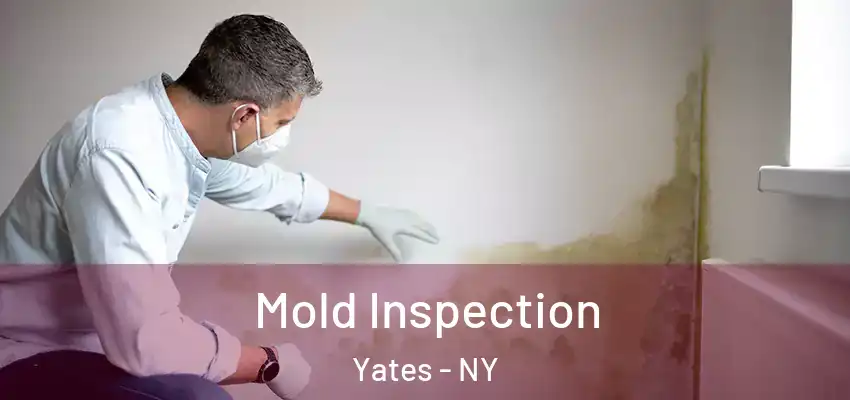  Mold Inspection Yates - NY