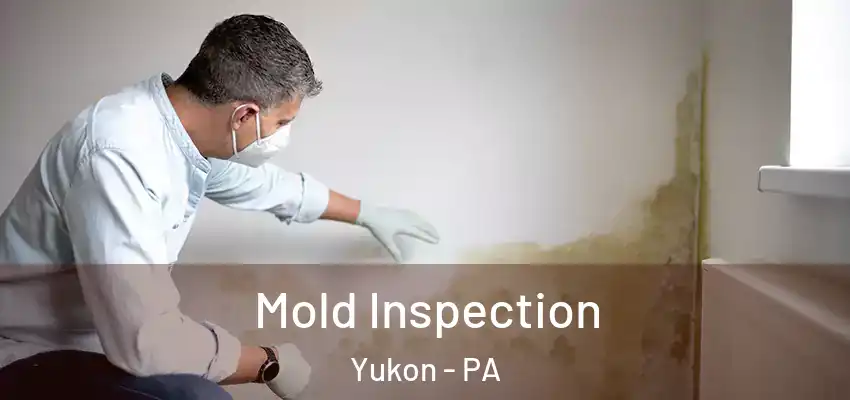  Mold Inspection Yukon - PA