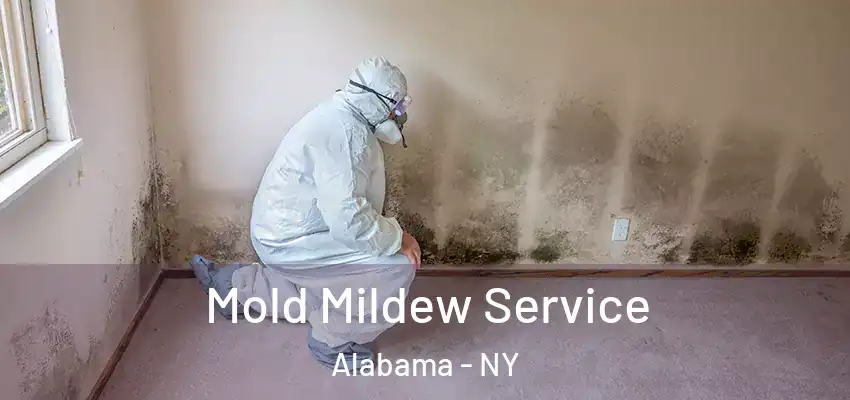  Mold Mildew Service Alabama - NY